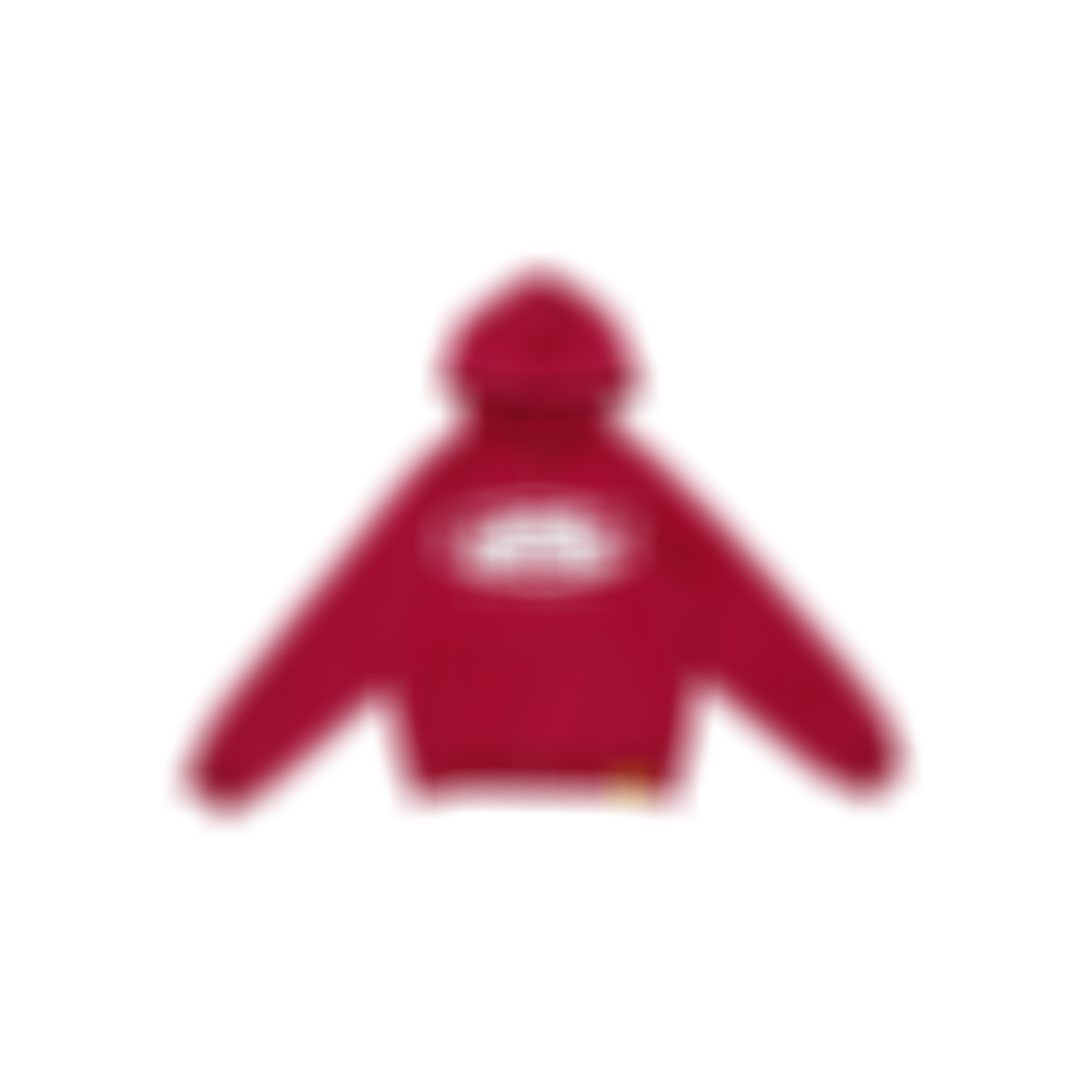 Coming soon // Z̈ENZO HOUSE HOODIE